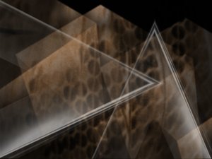 域名竞价与域名投资组合策略
